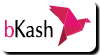 Bkash Payment Icon